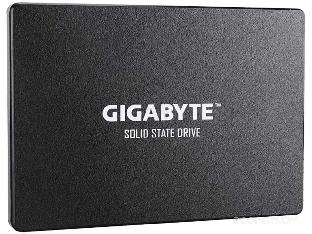 SSD Gigabyte 256GB GP-GSTFS31256GTND SSD Gigabyte 256GB GP-GSTFS31256GTND