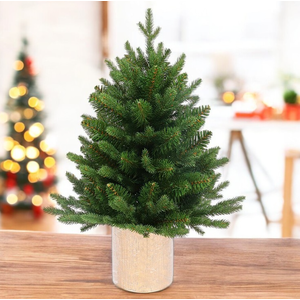 Ель GreenTerra Ноэлла 0.9 м Ель GreenTerra Ноэлла 0.9 м