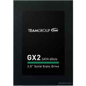 SSD Team GX2 256GB T253X2256G0C101