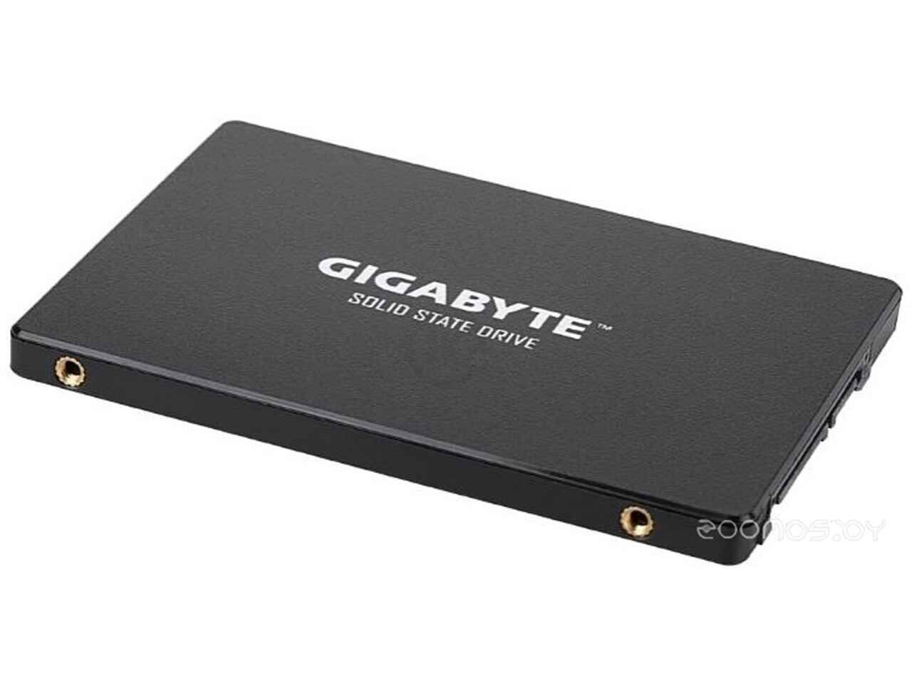 SSD Gigabyte 256GB GP-GSTFS31256GTND SSD Gigabyte 256GB GP-GSTFS31256GTND