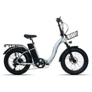 Электровелосипед Ritma Pony 20 (серебристый)