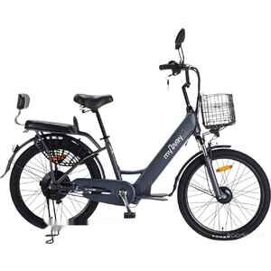 Электровелосипед MyWay Truck 500 24 (графит)