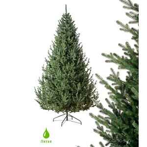 Ель GreenTerra Элоди 1.5 м