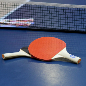 Ракетки для настольного тенниса