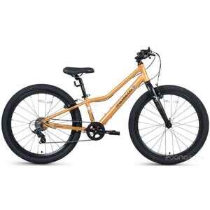 Велосипед Maxiscoo 5BIKE 24'' L Оранжевый Матовый