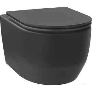 Унитаз подвесной Wellsee Croquis RimFree 182613001 (чаша, пневмокрышка, матовый черный)