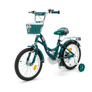 Детский велосипед Zigzag Girl 16 (зеленый) ZG-1636 Детский велосипед Zigzag Girl 16 (зеленый) ZG-1636