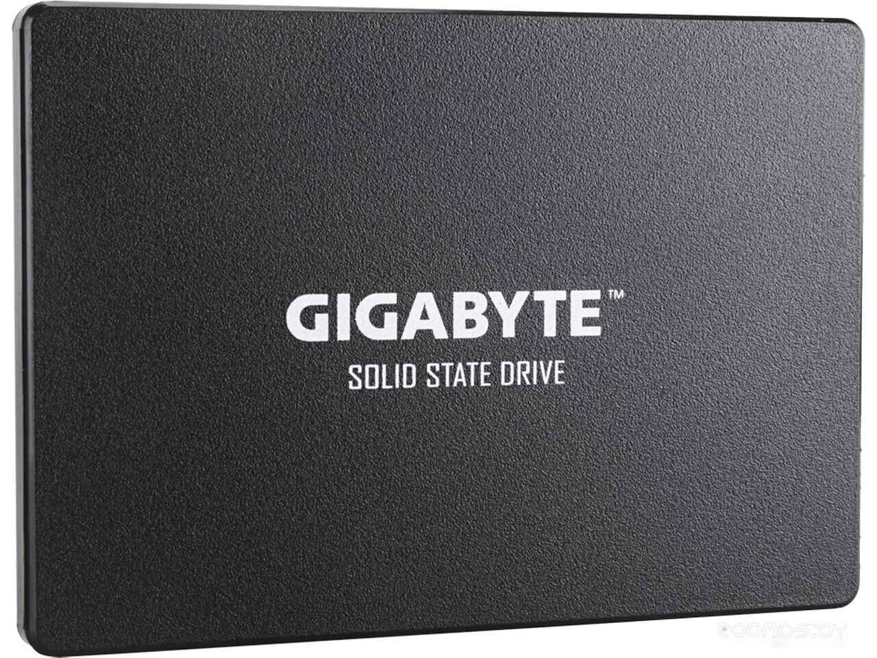 SSD Gigabyte 1TB GP-GSTFS31100TNTD SSD Gigabyte 1TB GP-GSTFS31100TNTD