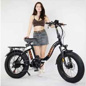 Электровелосипед Favorit AVALANCHE-20, AVL204820BK