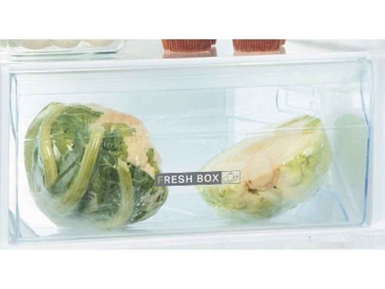 Холодильник Whirlpool ART 66102 Холодильник Whirlpool ART 66102