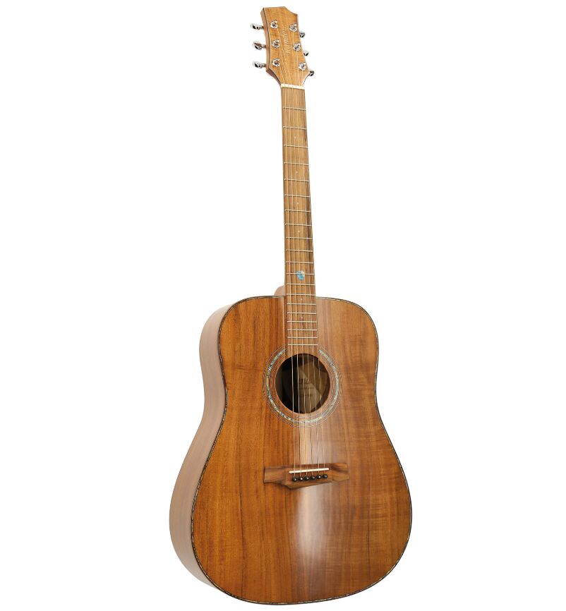 Акустическая гитара Randon RGI-500