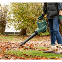 Воздуходувки