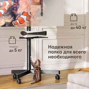 Кронштейн Onkron TS1137 (черный) Кронштейн Onkron TS1137 (черный)