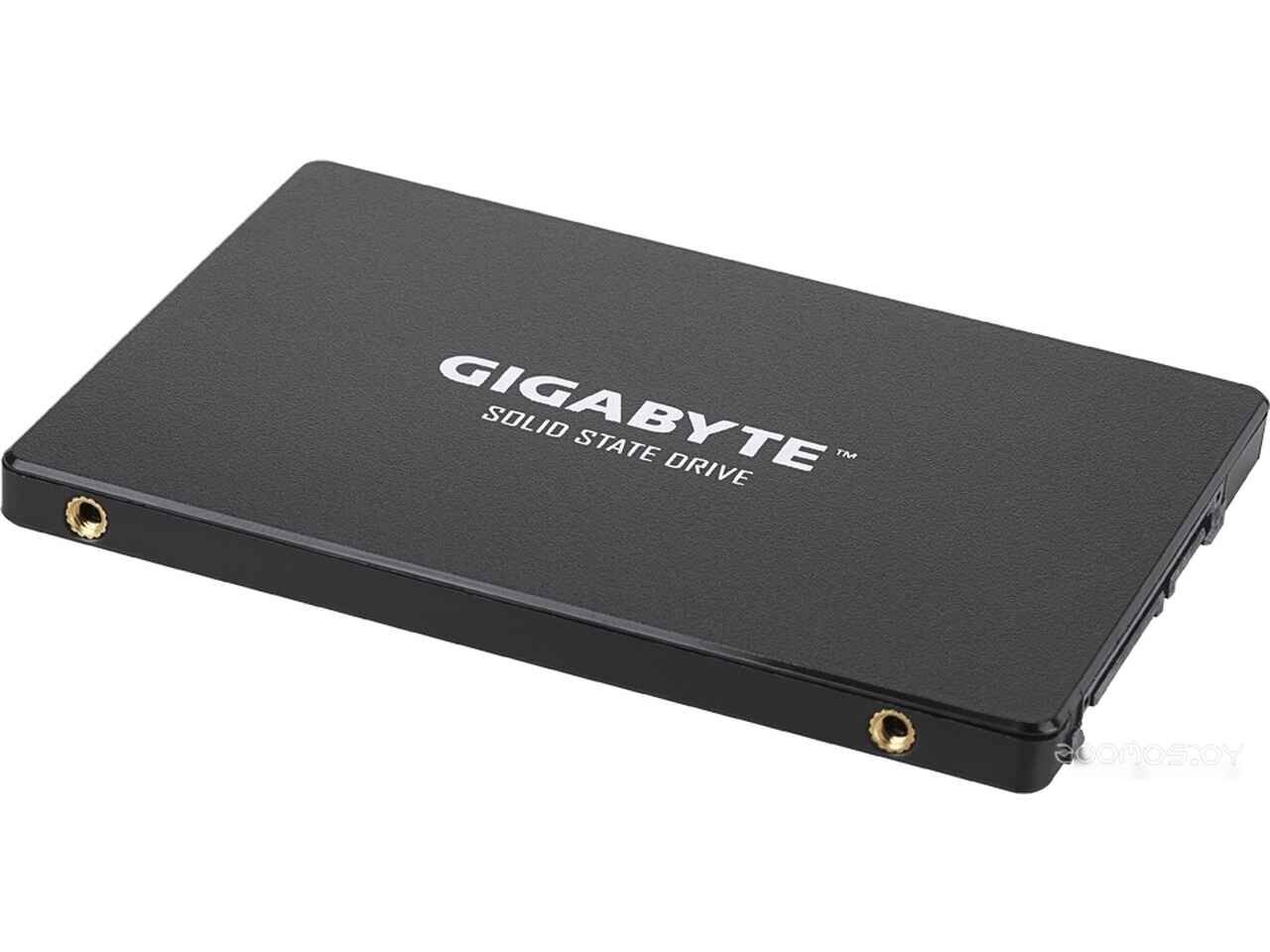 SSD Gigabyte 1TB GP-GSTFS31100TNTD SSD Gigabyte 1TB GP-GSTFS31100TNTD