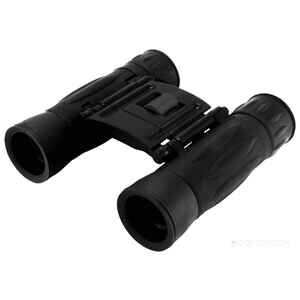 Бинокль Levenhuk Atom 10x25