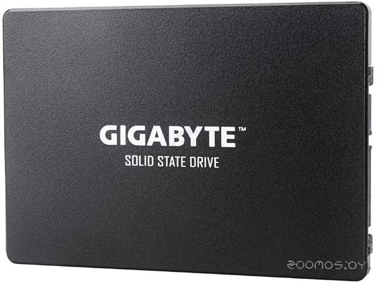 SSD Gigabyte 256GB GP-GSTFS31256GTND SSD Gigabyte 256GB GP-GSTFS31256GTND