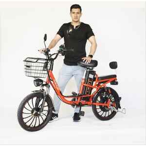 Электровелосипед Favorit WEEKEND-20, WKD206015BK