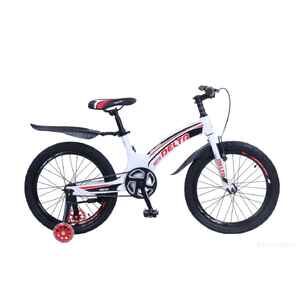 Детский велосипед DELTA Prestige Maxx 20 (белый)