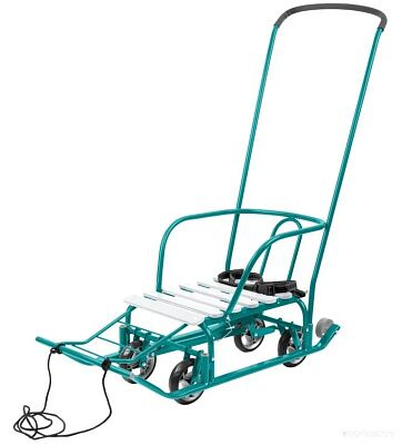 Санки Nika Тимка 5 Универсал Аквамарин