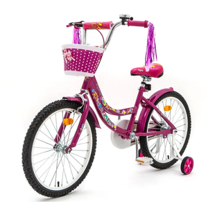 Детский велосипед Zigzag Foris 20 (малиновый, 2024) ZG-2024 Детский велосипед Zigzag Foris 20 (малиновый, 2024) ZG-2024