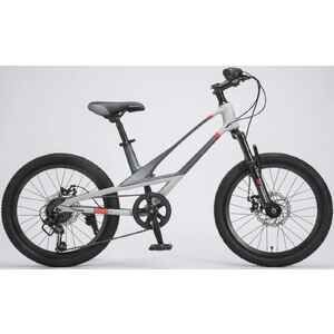 Детский велосипед Montasen MB12B-20SL серебристый