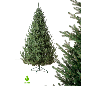 Ель GreenTerra Элоди 2.5 м Ель GreenTerra Элоди 2.5 м