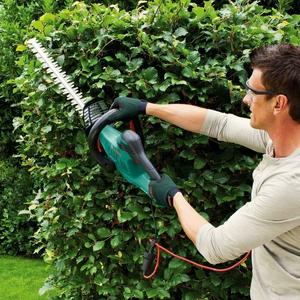 Ножницы и кусторезы