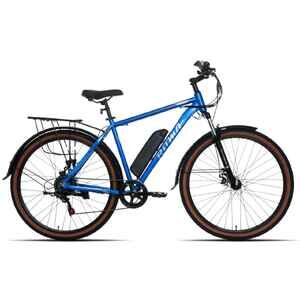 Электровелосипед Ritma MORGAN309 29 (синий) Электровелосипед Ritma MORGAN309 29 (синий)