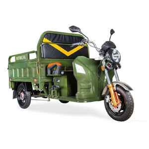 Грузовой электроскутер Rutrike Дукат 1500 60V 1000W (зеленый)