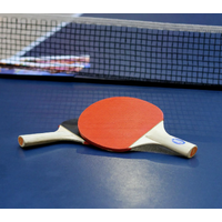 Ракетки для настольного тенниса