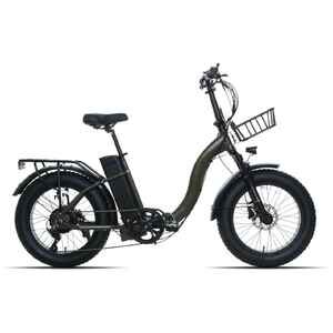 Электровелосипед Ritma Pony 20 (оливково-зеленый) Электровелосипед Ritma Pony 20 (оливково-зеленый)