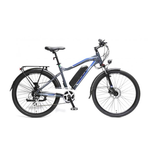 Электровелосипед Forsage Stroller-E FEB25026005(460) Электровелосипед Forsage Stroller-E FEB25026005(460)