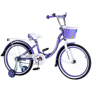 Детский велосипед Nameless Lady 20 (фиолетовый) Детский велосипед Nameless Lady 20 (фиолетовый)