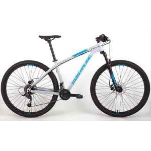 Велосипед Titan Racing Rogue Alpine 29 (XS(15), Quaker Grey, 2024)