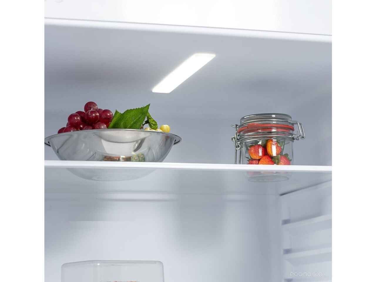 Холодильник Бирюса 553 Холодильник Бирюса 553