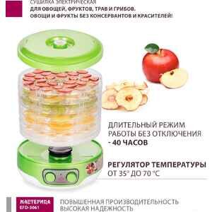 Сушилка для овощей и фруктов Мастерица EFD-3061 (зеленый перламутр)