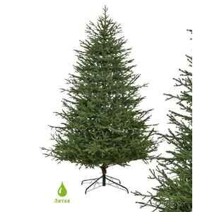 Ель GreenTerra Вилтони 1.5 м