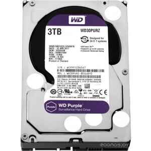 Жесткий диск Western Digital WD30PURZ