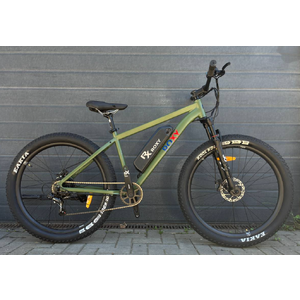 Электровелосипед Roxy D205 Электровелосипед Roxy D205