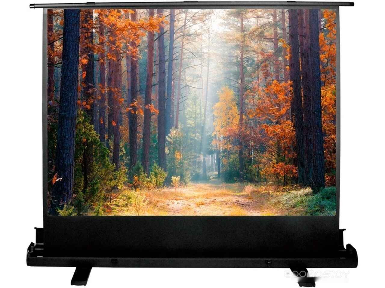 Проекционный экран Cactus FloorExpert 90x160 CS-PSFLE-160X90 Проекционный экран Cactus FloorExpert 90x160 CS-PSFLE-160X90